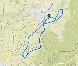Berndorfer Volkslauf 7,5 Kilometer Nordic-Walking